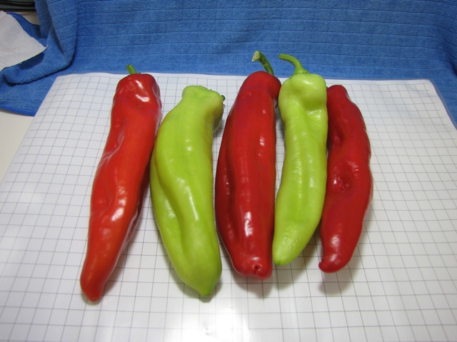 Sweet long Type pepper 730-170 p2
